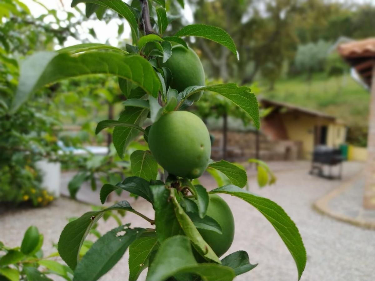 Casa Rural El Bonito Cazalla de la Sierra Ngoại thất bức ảnh