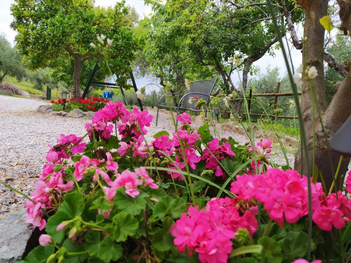 Casa Rural El Bonito Cazalla de la Sierra Ngoại thất bức ảnh